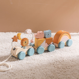 Pull-Along Train
