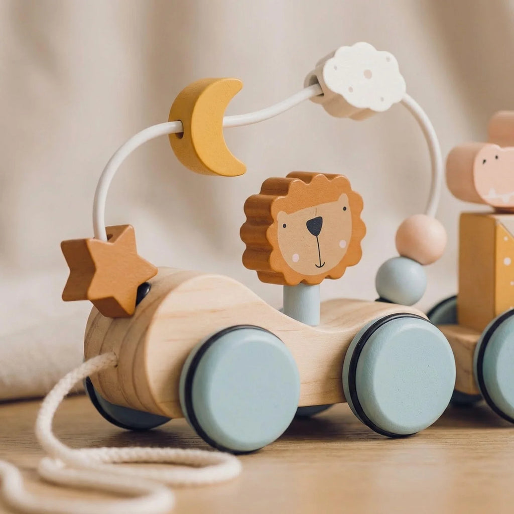 Pull-Along Train